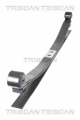 Triscan Federnpaket [Hersteller-Nr. 876516054] für Ford