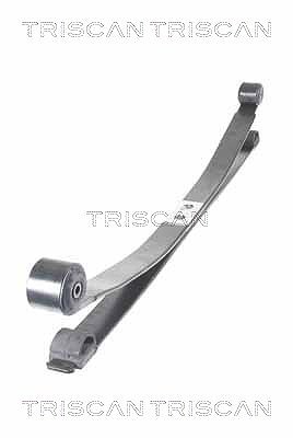 Triscan Federnpaket [Hersteller-Nr. 876516052] für Ford