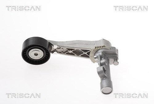 Triscan Spannarm, Keilrippenriemen [Hersteller-Nr. 8641103047] für Mini, Peugeot (df-psa), Opel, Peugeot, Ds, Citroën