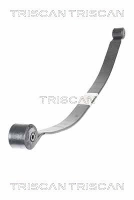 Triscan Federnpaket [Hersteller-Nr. 876516051] für Ford