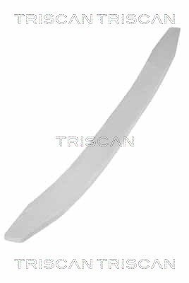 Triscan Federnpaket [Hersteller-Nr. 876510009] für Iveco