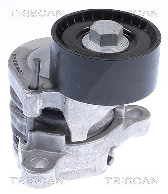 Triscan Spannarm, Keilrippenriemen [Hersteller-Nr. 8641233028] für Mercedes-Benz