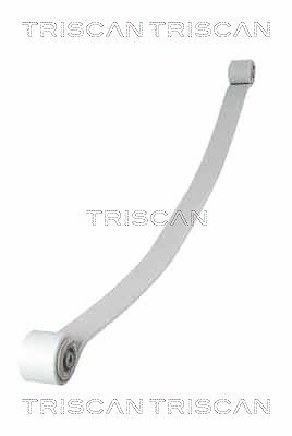 Triscan Federnpaket [Hersteller-Nr. 876523034] für Mercedes-Benz, VW