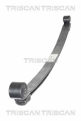 Triscan Federnpaket [Hersteller-Nr. 876516056] für Ford