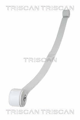 Triscan Federnpaket [Hersteller-Nr. 876516048] für Ford