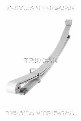 Triscan Federnpaket [Hersteller-Nr. 876510012] für Nissan, Vauxhall, Opel, Renault
