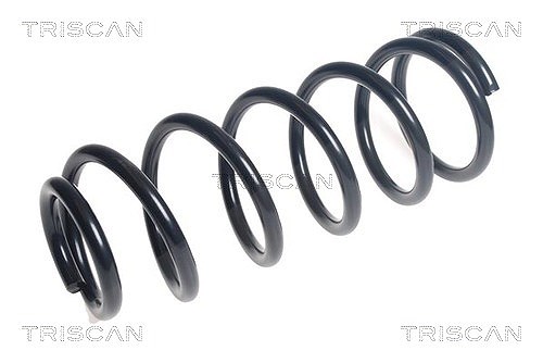 Triscan Fahrwerksfeder [Hersteller-Nr. 875014119] für Nissan