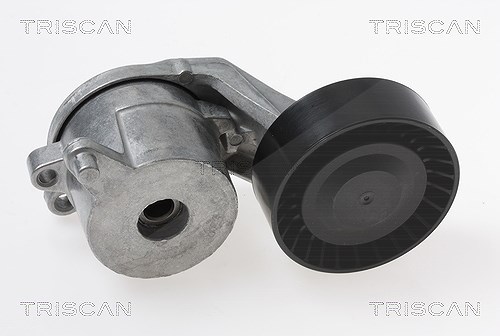 Triscan Spannarm, Keilrippenriemen [Hersteller-Nr. 8641103048] für Citroën, Toyota, Peugeot