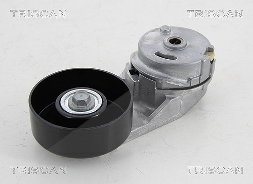 Triscan Spannrolle, Keilrippenriemen [Hersteller-Nr. 8641103044] für Opel, Vauxhall, Saab, Chevrolet