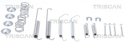 Triscan Zubehörsatz, Bremsbacken [Hersteller-Nr. 8105142569] für Citroën, Nissan, Mitsubishi, Peugeot
