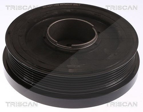 Triscan Riemenscheibe, Kurbelwelle [Hersteller-Nr. 864311010] für BMW
