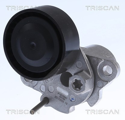 Triscan Spannarm, Keilrippenriemen [Hersteller-Nr. 8641293054] für VW, Skoda, Audi, Seat