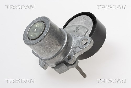 Triscan Spannarm, Keilrippenriemen [Hersteller-Nr. 8641293055] für Seat, VW, Skoda, Audi