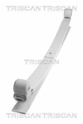 Triscan Federnpaket [Hersteller-Nr. 876516042] für Ford