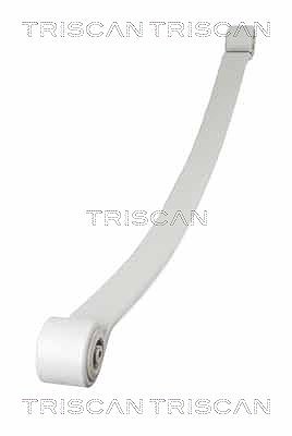 Triscan Federnpaket [Hersteller-Nr. 876523024] für VW, Mercedes-Benz