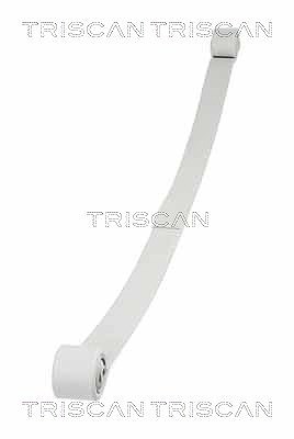 Triscan Federnpaket [Hersteller-Nr. 876516043] für Ford