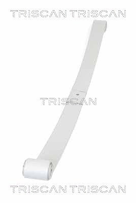 Triscan Federnpaket [Hersteller-Nr. 876510008] für Vauxhall, Renault, Opel, Nissan