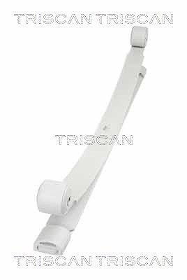 Triscan Federnpaket [Hersteller-Nr. 876516041] für Ford