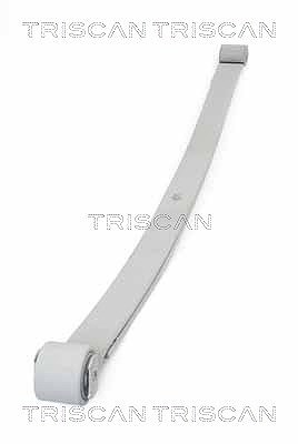 Triscan Federnpaket [Hersteller-Nr. 876510006] für Peugeot, Fiat, Citroën
