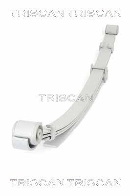 Triscan Federnpaket [Hersteller-Nr. 876529022] für VW