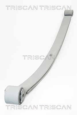 Triscan Federnpaket [Hersteller-Nr. 876510007] für Peugeot, Fiat, Citroën