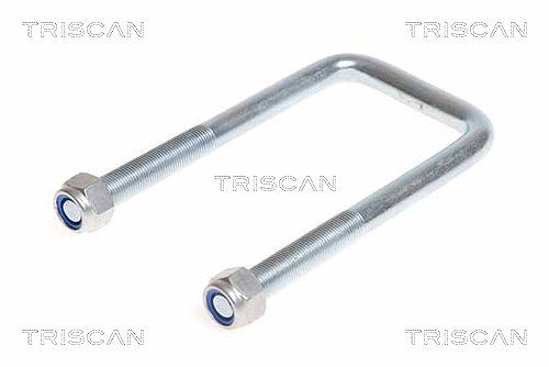 Triscan Federbride [Hersteller-Nr. 8765100012] für Iveco