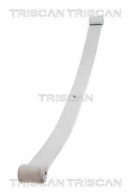 Triscan Federnpaket [Hersteller-Nr. 876510004] für Iveco