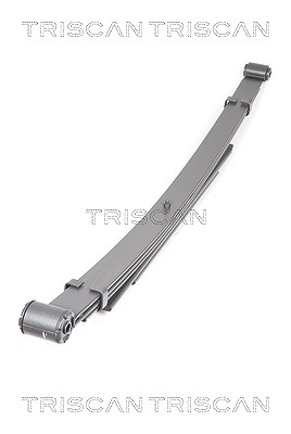 Triscan Federnpaket [Hersteller-Nr. 876516023] für Mazda, Ford