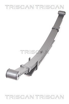 Triscan Federnpaket [Hersteller-Nr. 876513026] für Toyota