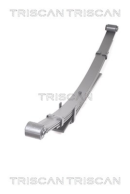 Triscan Federnpaket [Hersteller-Nr. 876513025] für Toyota