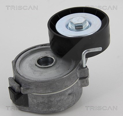 Triscan Spannrolle, Keilrippenriemen [Hersteller-Nr. 8641162015] für Ford, Mitsubishi, Lancia, Peugeot, Citroën, Volvo, Ford Usa, Fiat