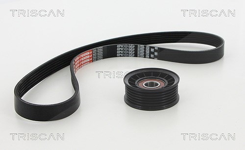 Triscan Keilrippenriemensatz [Hersteller-Nr. 864216006] für Ford