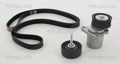 Triscan Keilrippenriemensatz [Hersteller-Nr. 864216004] für Ford