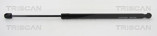 Triscan Gasfeder, Koffer-/Laderaum [Hersteller-Nr. 871016261] für Ford