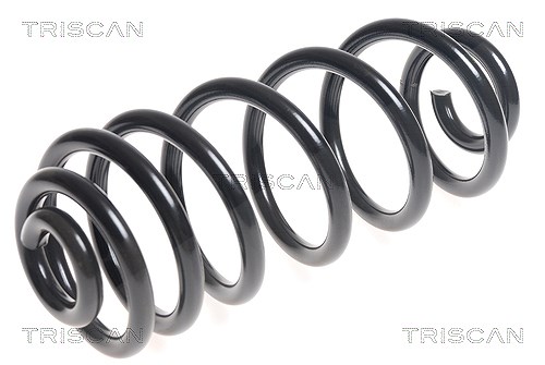 Triscan Fahrwerksfeder [Hersteller-Nr. 875011134] für BMW