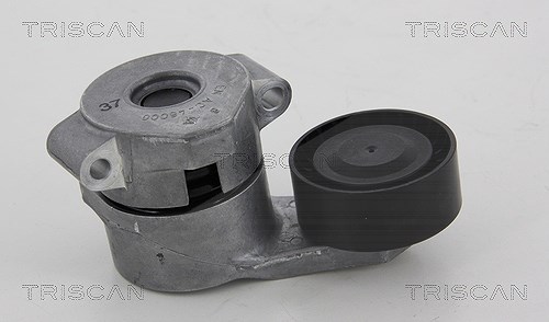 Triscan Spannarm, Keilrippenriemen [Hersteller-Nr. 8641163017] für Peugeot, Ford, Fiat, Citroën