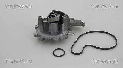 Triscan Wasserpumpe [Hersteller-Nr. 860010028] für Ford, Citroën, Fiat, Peugeot