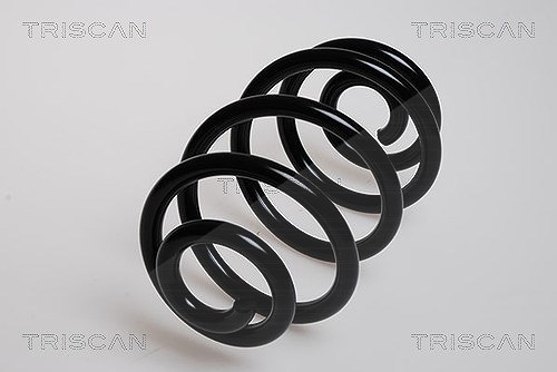 Triscan Fahrwerksfeder [Hersteller-Nr. 875029070] für Audi