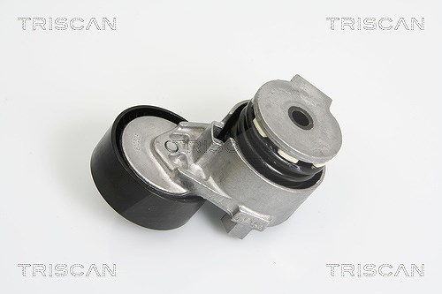 Triscan Riemenspanner, Keilrippenriemen [Hersteller-Nr. 8641253007] für Nissan, Dacia, Lada, Renault