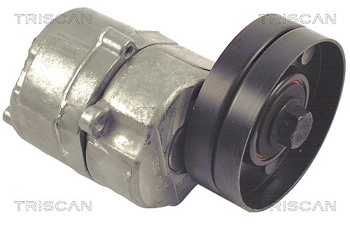 Triscan Spannarm, Keilrippenriemen [Hersteller-Nr. 8641273001] für Volvo
