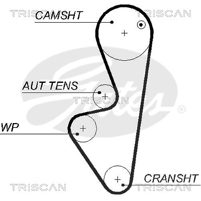 Triscan Zahnriemen [Hersteller-Nr. 86455575xs] für Citroën, Peugeot, Fiat