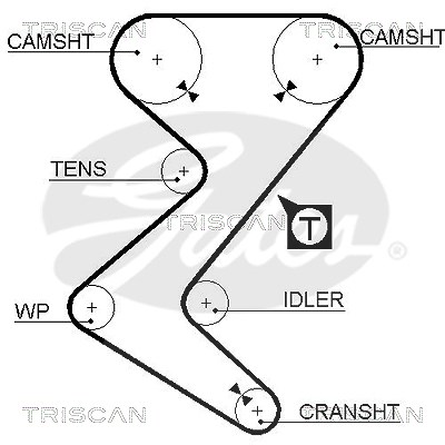 Triscan Zahnriemen [Hersteller-Nr. 86455528xs] für Lancia, Citroën, Peugeot, Fiat, Pgo