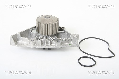 Triscan Wasserpumpe [Hersteller-Nr. 860028011] für Peugeot, Citroën, Lancia, Fiat