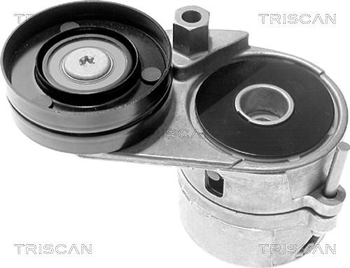 Triscan Spannarm, Keilrippenriemen [Hersteller-Nr. 8641293008] für Audi, Skoda, VW