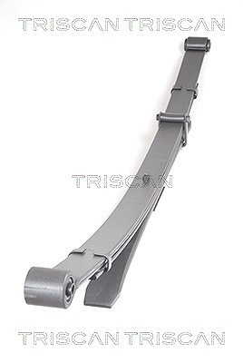 Triscan Federnpaket [Hersteller-Nr. 876514013] für Nissan