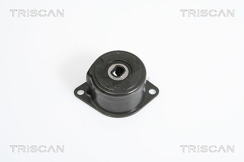 Triscan Riemenspanner, Keilrippenriemen [Hersteller-Nr. 8641293022] für VW