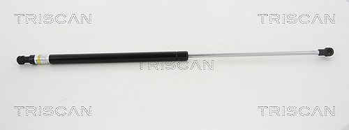 Triscan Gasfeder, Heckscheibe [Hersteller-Nr. 871038230] für Citroën