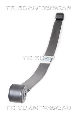 Triscan Federnpaket [Hersteller-Nr. 876516037] für Ford