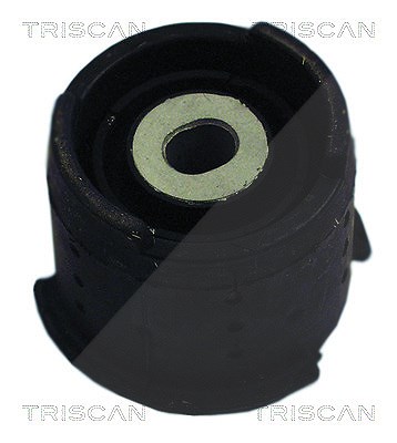 Triscan Lagerung, Achskörper [Hersteller-Nr. 850011831] für BMW