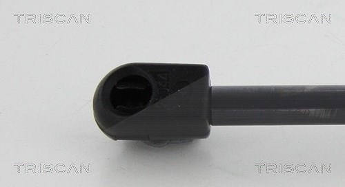 Triscan Gasfeder, Koffer-/Laderaum [Hersteller-Nr. 871010213] für Opel, Peugeot, Citroën, Vauxhall